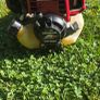 Honda strimmer Image 2