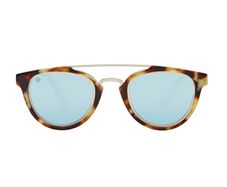 Taylor Morris sunglasses