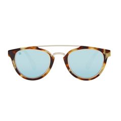 Taylor Morris sunglasses