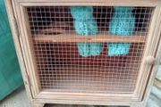 wooden egg safe