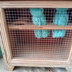wooden egg safe