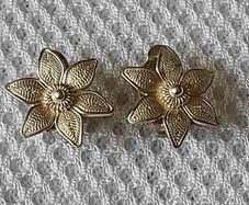 Sterling silver earrings