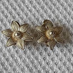 Sterling silver earrings