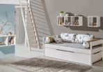 Borys I Bed Frame @ J & D Furniture