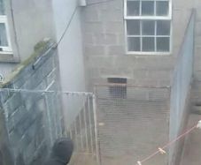 dog fence and gate for sale.