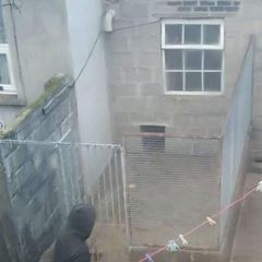 dog fence and gate for sale.