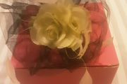 Head Piece from Jacques Vert .. Price Drop