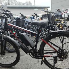 48V E-Bike Project / Parts + TWO 48V Batteries (One Nearly New 20Ah!)