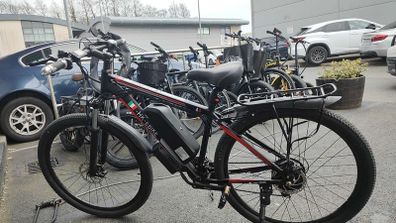 48V E-Bike Project / Parts + TWO 48V Batteries (One Nearly New 20Ah!)