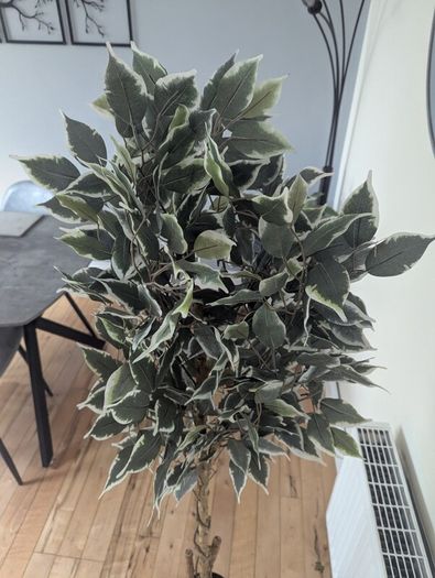 Artificial Plant
