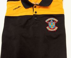 St. Pat's, Navan, boys sport polo, Age 12uniform