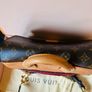 Louis Vuitton Eden MM Monogram Canvas Crossbody Image 6