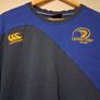 Leinster Rugby. Official Canterbury Mens Leinster T Shirt. Collect In Dublin Or Receive Via Post. Image 3