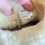 Ugg boots chestnut short platform Image 8