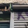 Electric Roller shutter Image 5