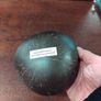 Handcrafted coconut bowl Image 5