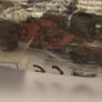 Bumblebee Speedstars Image 6