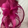 Occasion or Wedding Accessories Image 8