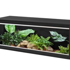 reptile