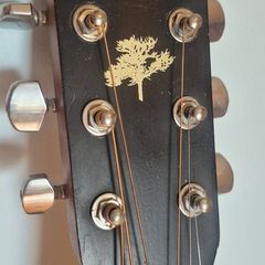 Acoustic guitar Art & Lutherie (Canada)