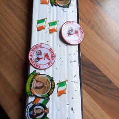 Irish patriot pins