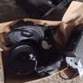 audi tt mk1 concert radio Image 4