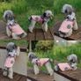 Poseca Dog Coat 3-in-1 Waterproof Winter Jacket with Built-in Harness - Brand New Image 3