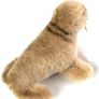 Vintage Steiff Wally Walrus German Collectable Toy Image 6