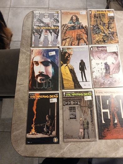 Walking Dead comic bundles/joblots 15 comics including a Adlard signed issue variants plus keys.