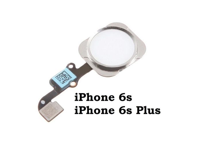 For iPhone 6s / iPhone 6s Plus Home Button Fingerprint Touch ID Flex Cable White - FHT15IPHB