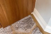 modern rug