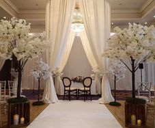 Round Canopy