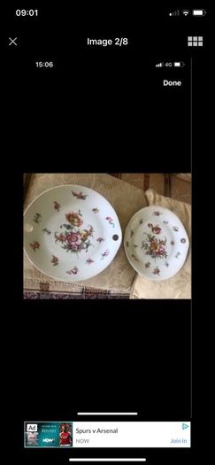Antique Hand Painted Meissen Plate Set