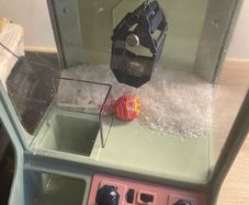 toy grabber