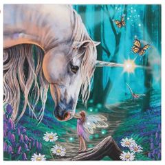 Beautiful Fairy Realm Canvas with Lights - excellent gift