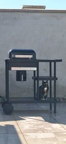Rockwell charcoal Bbq