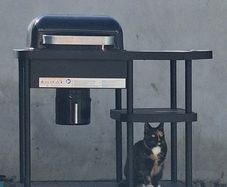 Rockwell charcoal Bbq