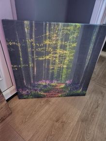 Canvas art print