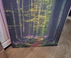Canvas art print