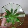 Vintage  uranium glass vase Image 9