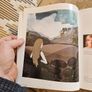 The Gathering. Reflections On Ireland.  Beautiful Illustrated FIRST EDITION. Large Volume Hardbacks In Very Good Condition. See Photos For Same. Image 8