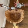 Bobbin brand new balance bike Image 4