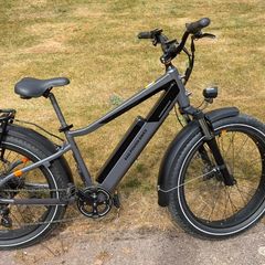 Rad Rhino 6+ ebike