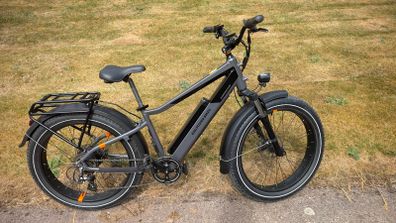 Rad Rhino 6+ ebike