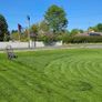 Lawn mower Image 4