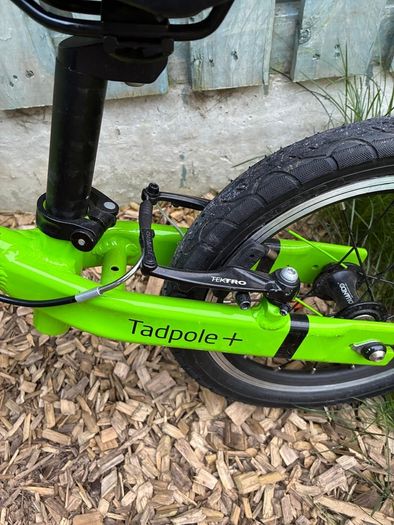 Frog Tadpole Plus 14"