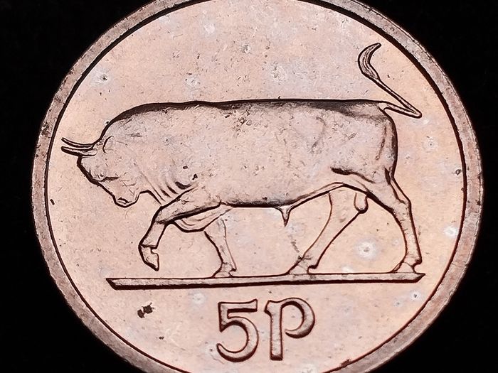Ireland - 1995 - 5 Pence - Irish 5p - Bull - KM.28 - [2093]