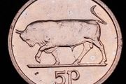 Ireland - 1995 - 5 Pence - Irish 5p - Bull - KM.28 - [2093]