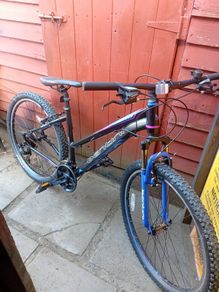 ladies bicycle