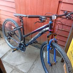 ladies bicycle